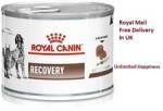 Comida Húmeda Para Gatos/perros Royal Canin Veterinary Diet Canine/feline Recovery - 12 X 195 G