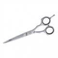Hair Scissors Line Eurostil 6`0 Evolute 6`` Nuevo