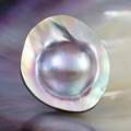 Mabe Blister Perla En Shell Extremo Colorido Arco Iris Iridiscente 5.74 G Cabujón
