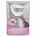 concept for life kitten en salsa - 24 x 85 g