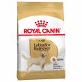 royal canin breed royal canin labrador retriever adult - pack % - 2 x 12 kg