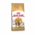 royal canin breed royal canin bengal adult - 2 kg