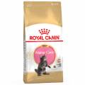 royal canin breed royal canin maine coon kitten - 4 kg