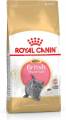 royal canin desconocido rc-fbn kitten british shorthair 10kg