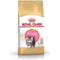 royal canin fbn kitten persian 10kg