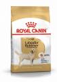 royal canin italia spa royal canin croquetas para perros labrador retriever adultos