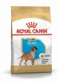 royal canin italia spa royal canin croquetas para perros cachorros boxer bag 12kg