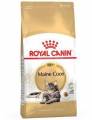 royal canin maine coon adult 4 kg