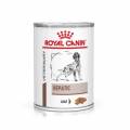royal canin vet hepatic paté 420g